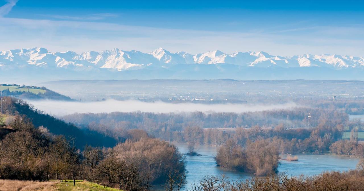 Le Lamartine - T3 Dans Un Parc Frouzins Екстер'єр фото